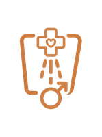 Prostata