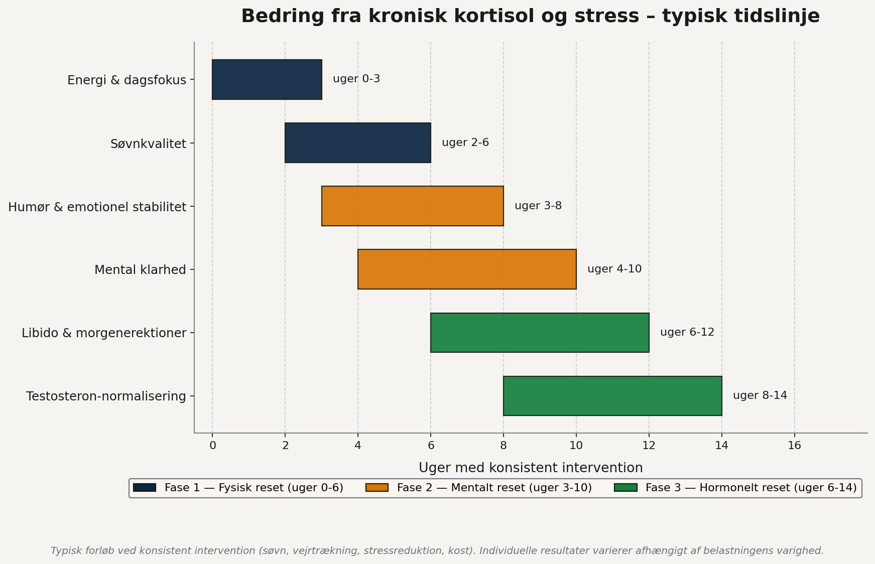 kortisol-og-stress-bedring-tidslinje Tidslinje for bedring fra kortisol og stress – søjlediagram med tre faser