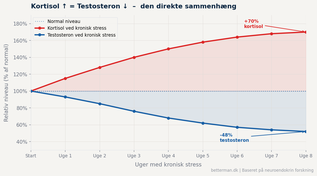Graf der viser invers sammenhæng mellem kortisol og testosteron ved kronisk stress – kortisol stiger 70% mens testosteron falder 48% over 8 uger