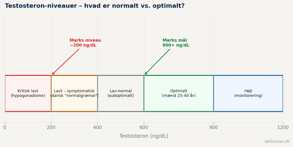 Diagram over testosteron-niveauer fra kritisk lavt til optimalt – Marks niveau markeret ved 200 ng/dL og optimal zone ved 600 ng/dL