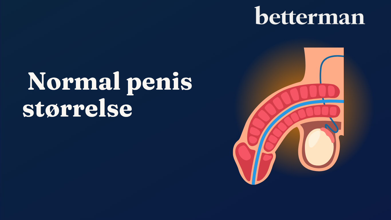 Normal penis størrelse