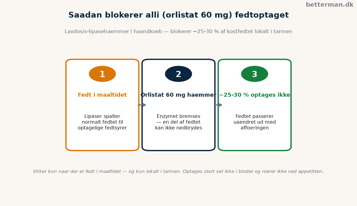 alli: håndkøbs-orlistat, vægttab, bivirkninger og pris 1 Sådan blokerer orlistat optagelsen af kostfedt i tarmen