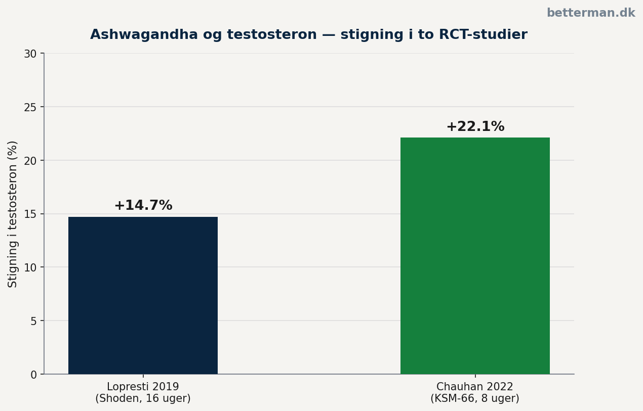 ashwagandha og potens — testosteronstigning og seksuel funktion i to randomiserede studier