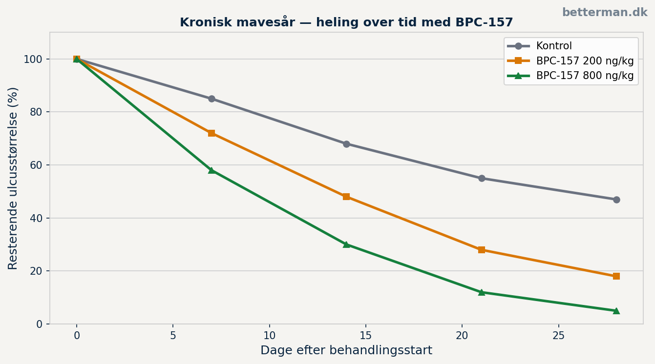 BPC-157 mave og tarm — kronisk ulcus heling over tid
