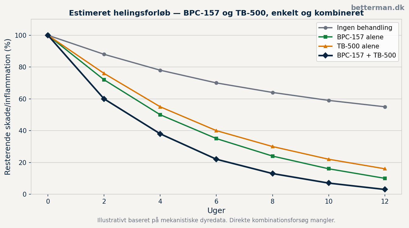 BPC-157 og TB-500 — estimeret helingsforløb enkelt og kombineret