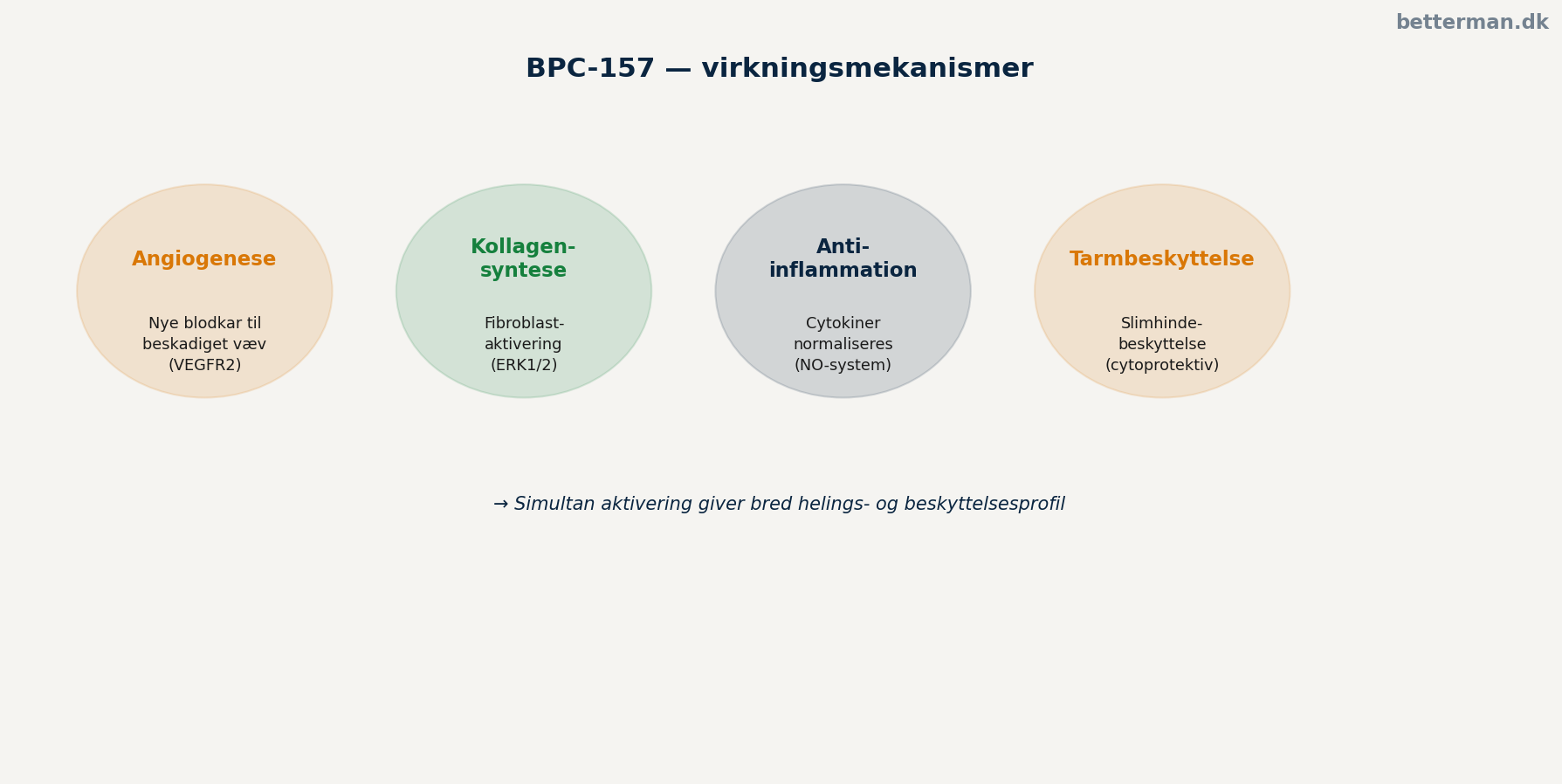 BPC-157 — komplet guide: peptid til heling, restitution og tarmhelbred 2 BPC-157 virkningsmekanisme — angiogenese, kollagensyntese og antiinflammation