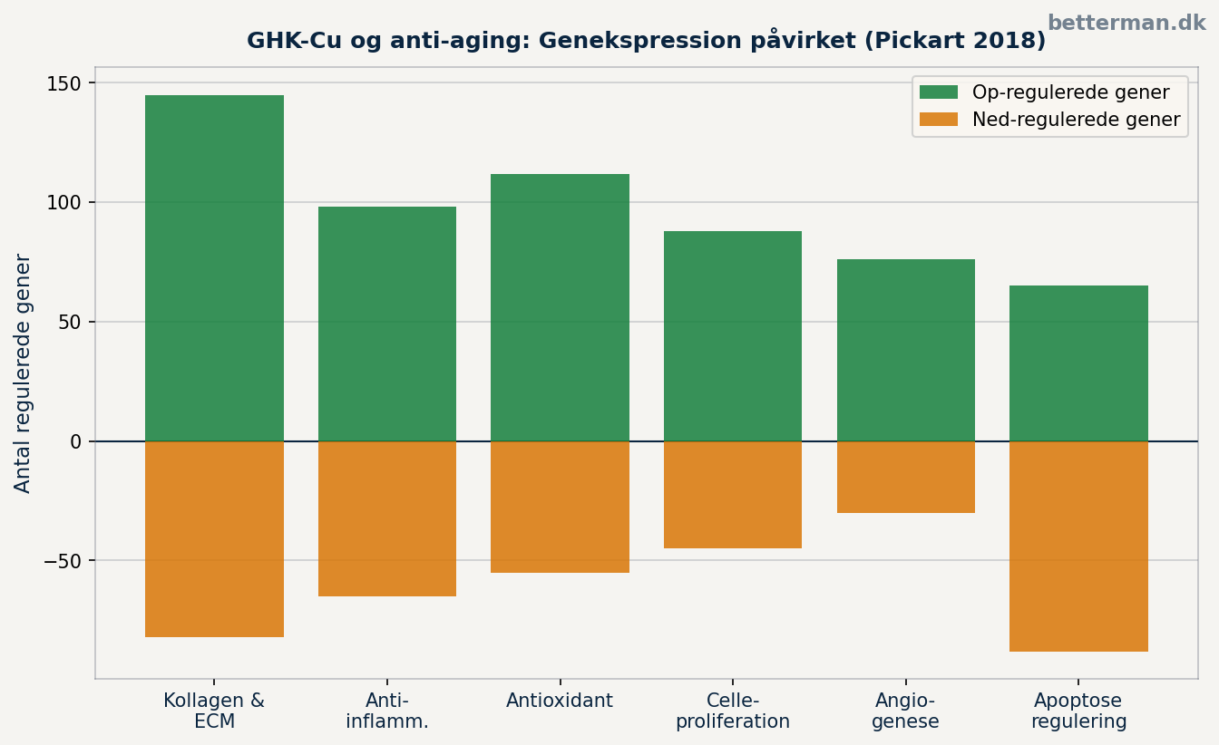 GHK-Cu og anti-aging — genregulering og biologisk aldring 2026 2 GHK-Cu og anti-aging — kategorier af genekspression påvirket af GHK-Cu