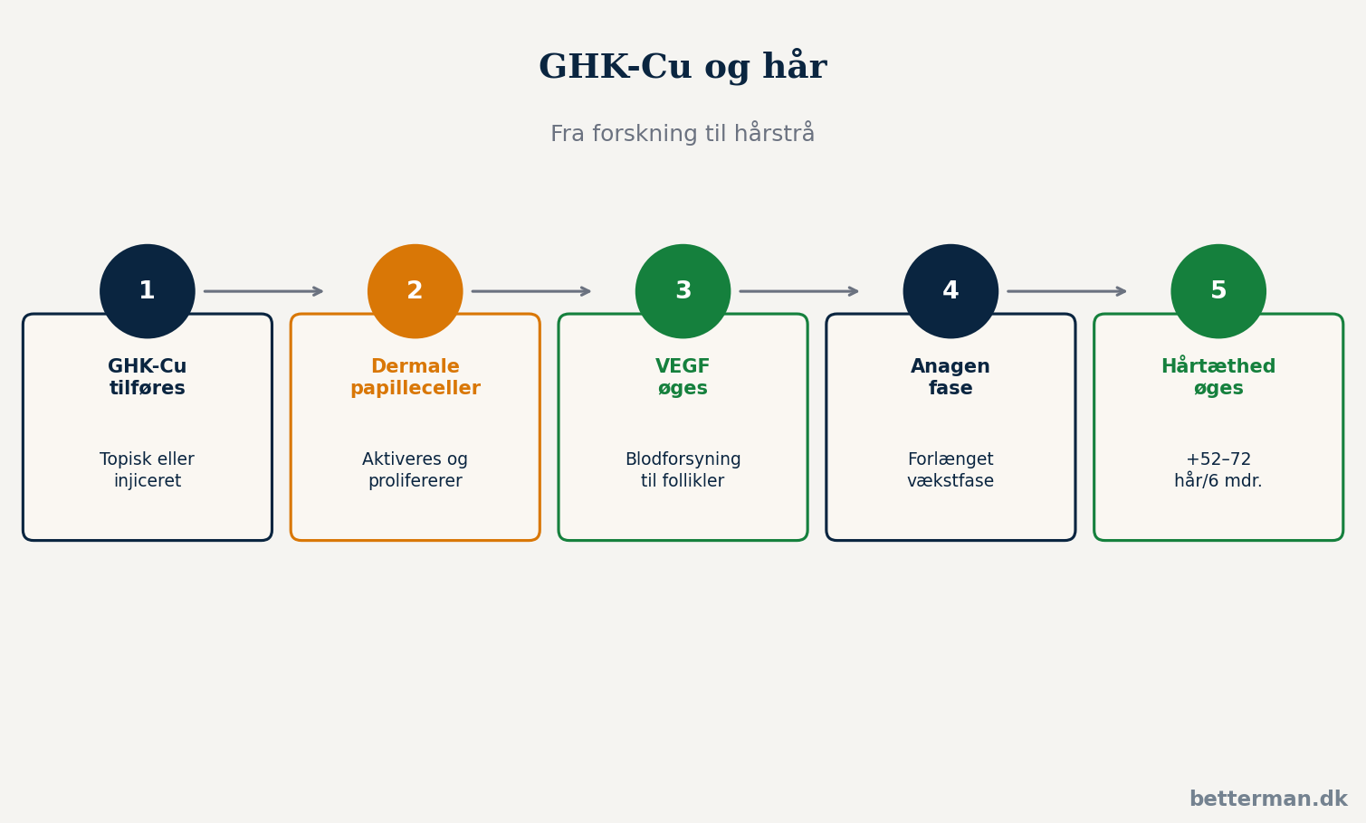 GHK-Cu og hår — fra forskning til hårstrå, biologiske mekanismer