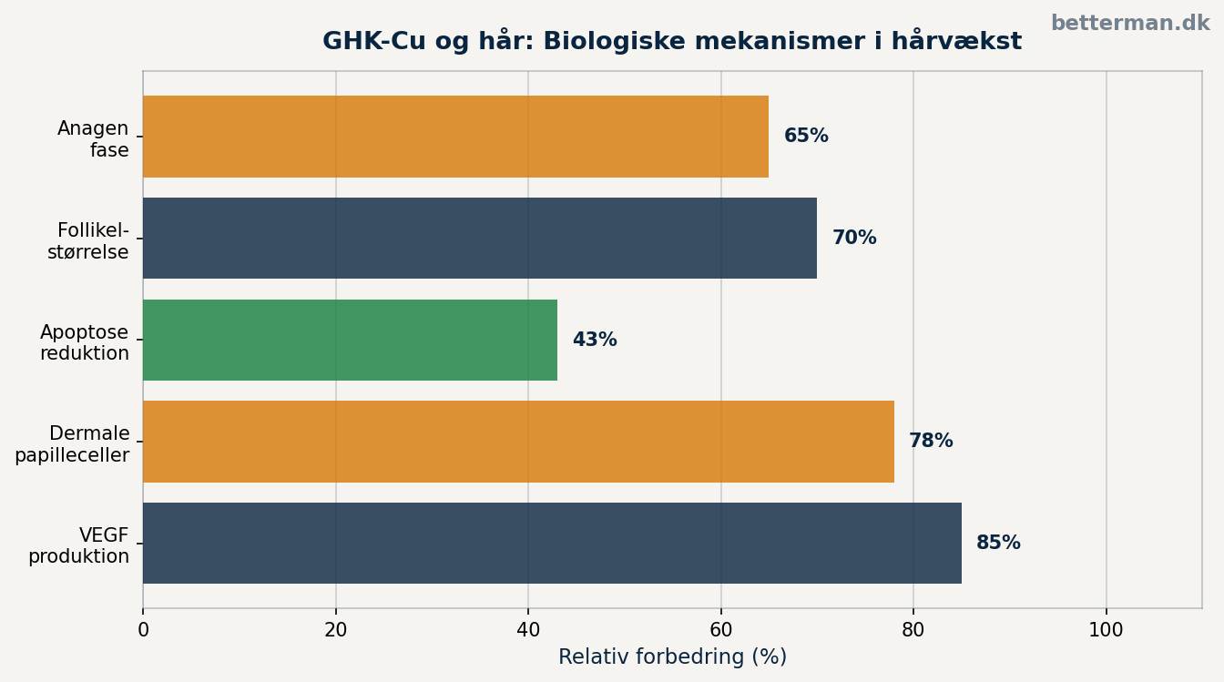 GHK-Cu og hår — biologiske mekanismer i hårvækst