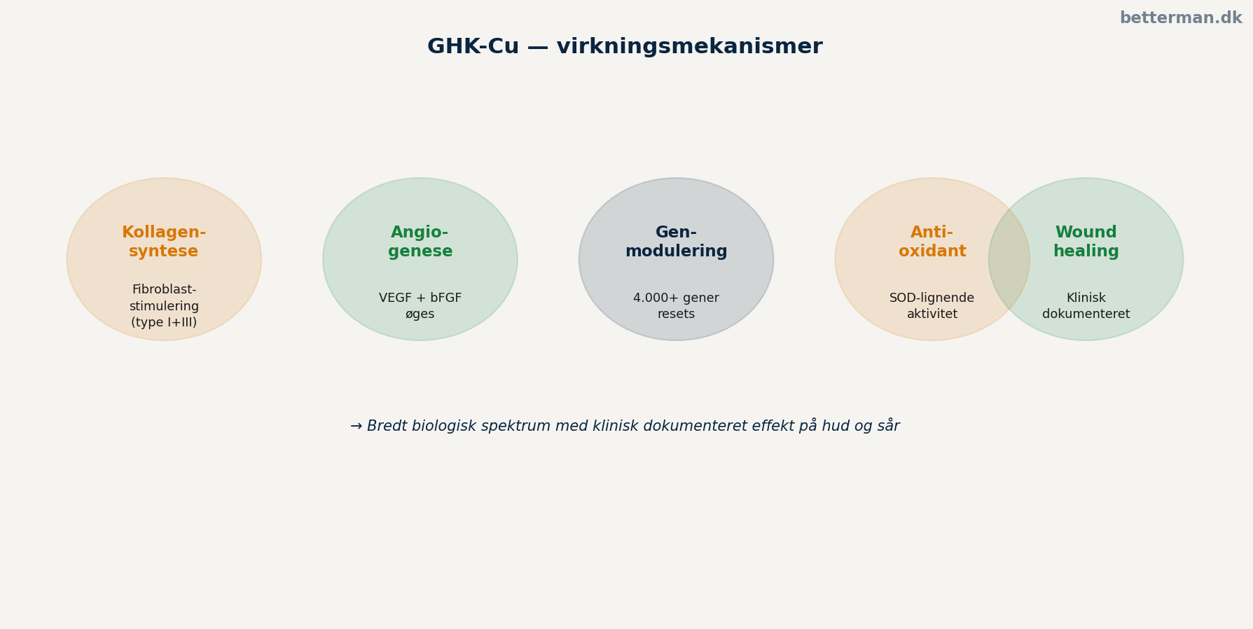 GHK-Cu virkningsmekanisme — kollagensyntese, angiogenese og genmodulering