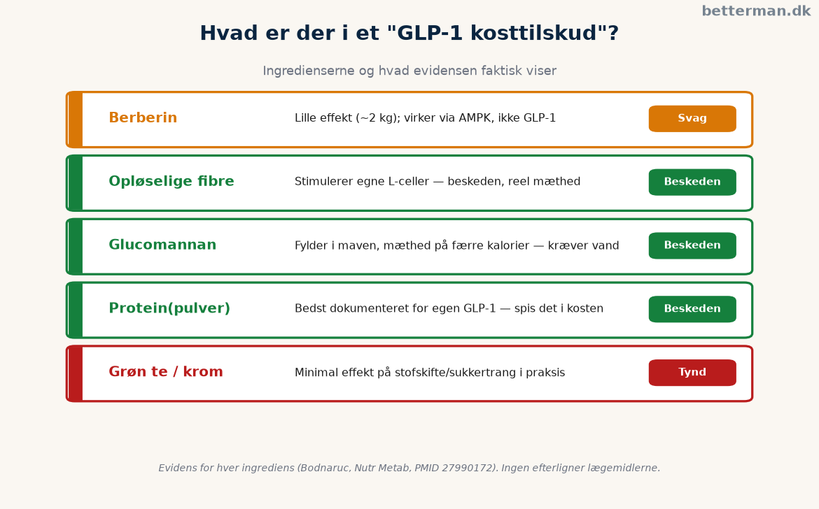 Oversigt over hvad et GLP-1 kosttilskud indeholder og den dokumenterede effekt af hver ingrediens