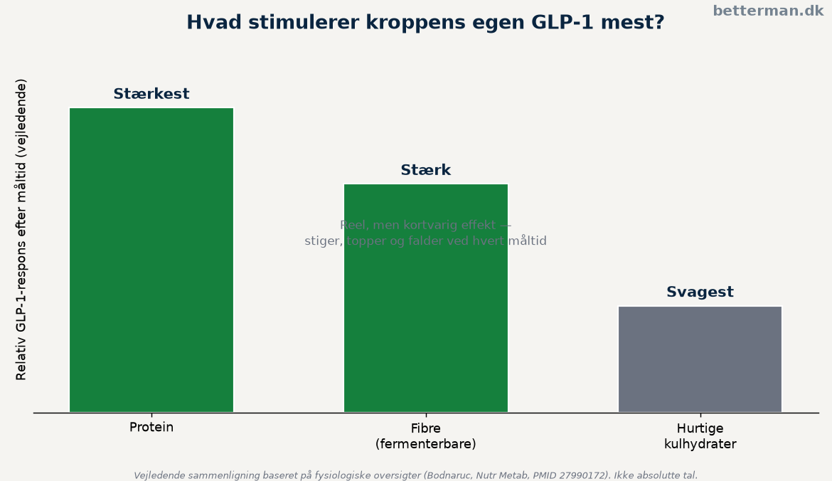 Sammenligning af GLP-1-respons efter protein, fibre og kulhydrat baseret på fysiologiske studier