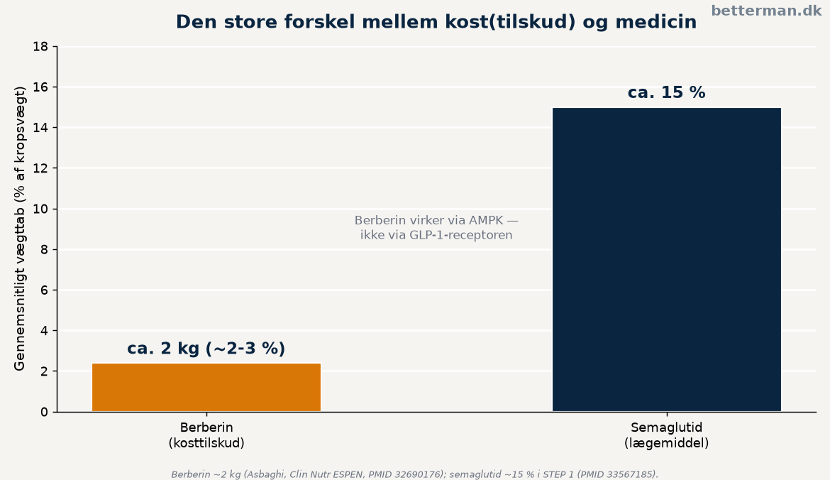 Vægttab med berberin mod semaglutid, der viser den store forskel mellem kost og medicin