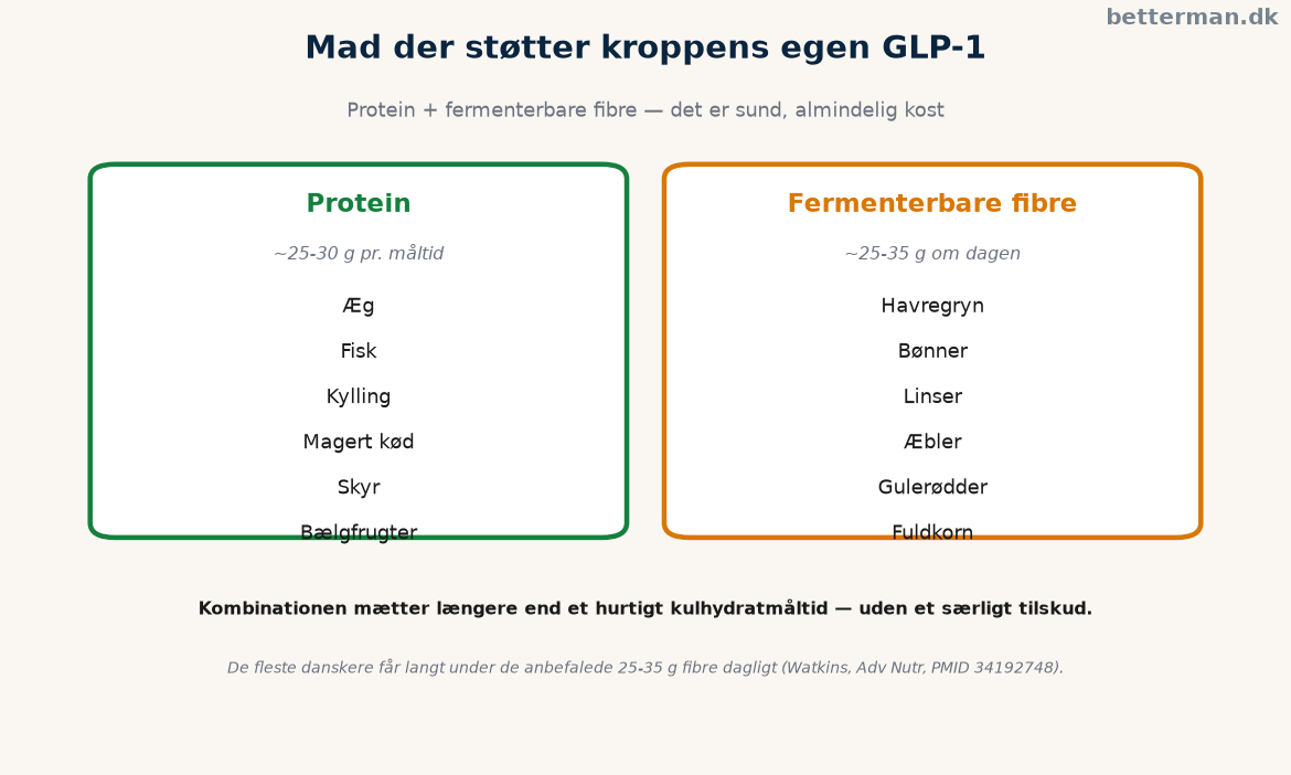 Oversigt over proteinkilder og fermenterbare fibre, der øger kroppens egen mæthedsrespons