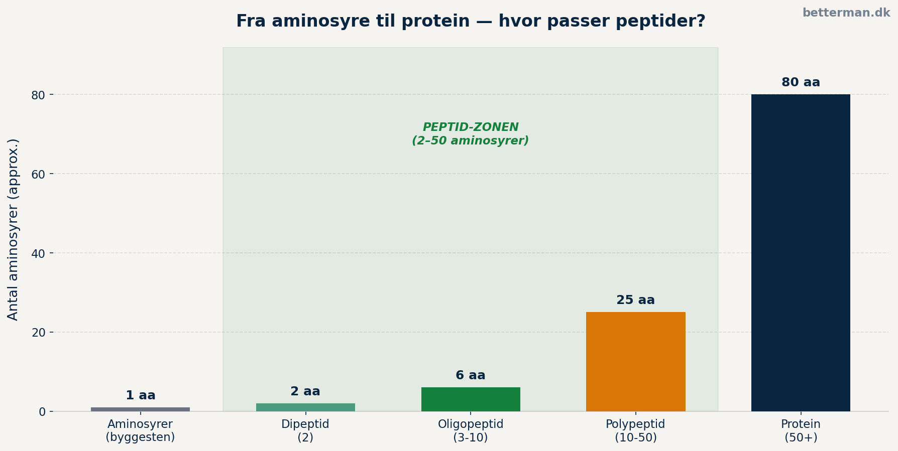 hvad-er-peptider-stoerrelse hvad-er-peptider-stoerrelse