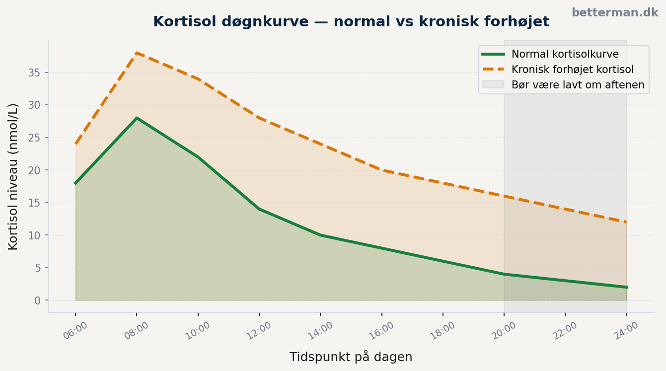 Kortisol test — blodprøve, spyttest og normalværdier 2026 1 Kortisolkurve over døgnet — normal vs forhøjet kortisol mænd