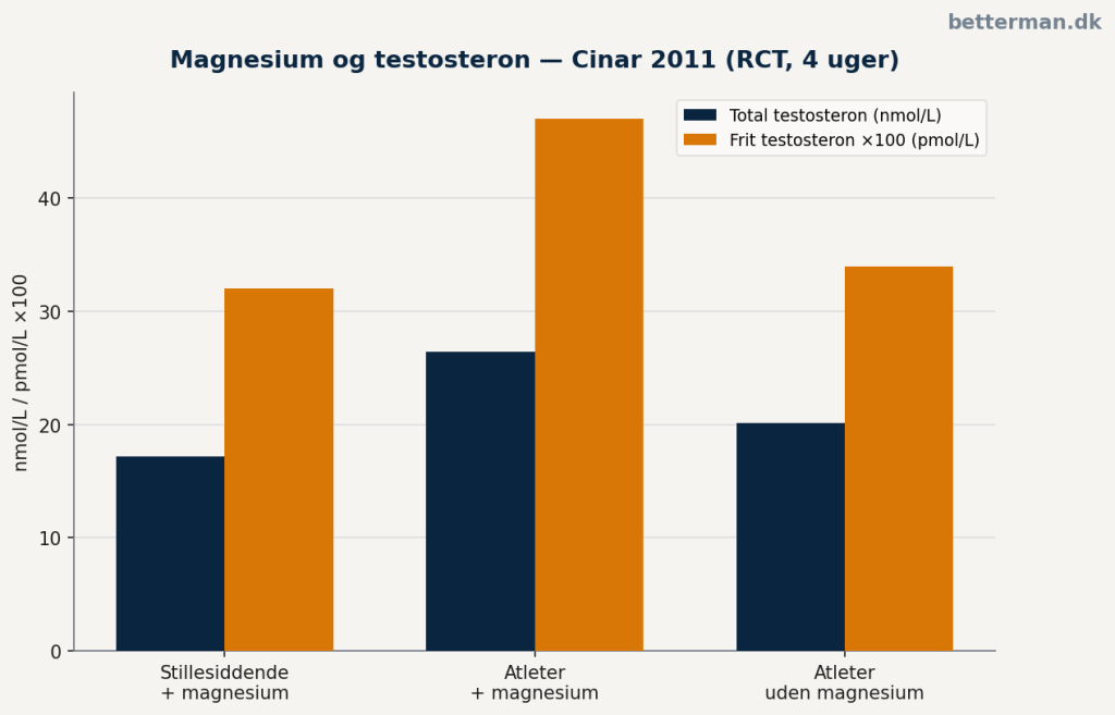 magnesium-testosteron-studie