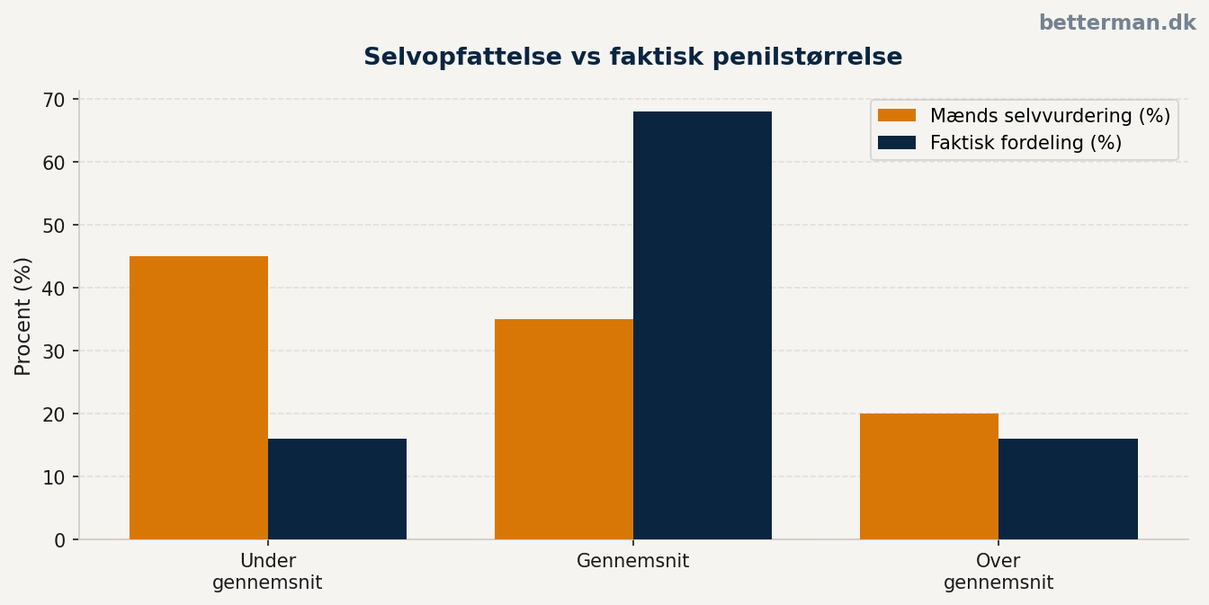 Normal penis størrelse — gennemsnit og normalområde 2026 2 Selvopfattelse vs faktisk penilstørrelse