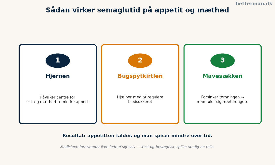 Sådan virker semaglutid på appetit og mæthed ved Ozempic vægttab