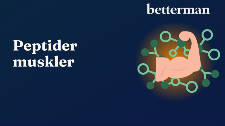 peptider muskler