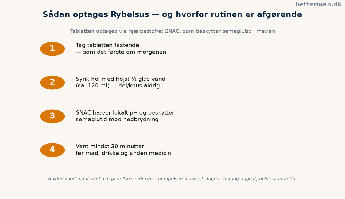 Rybelsus optagelse via SNAC i maveslimhinden trin for trin med faste og ventetid