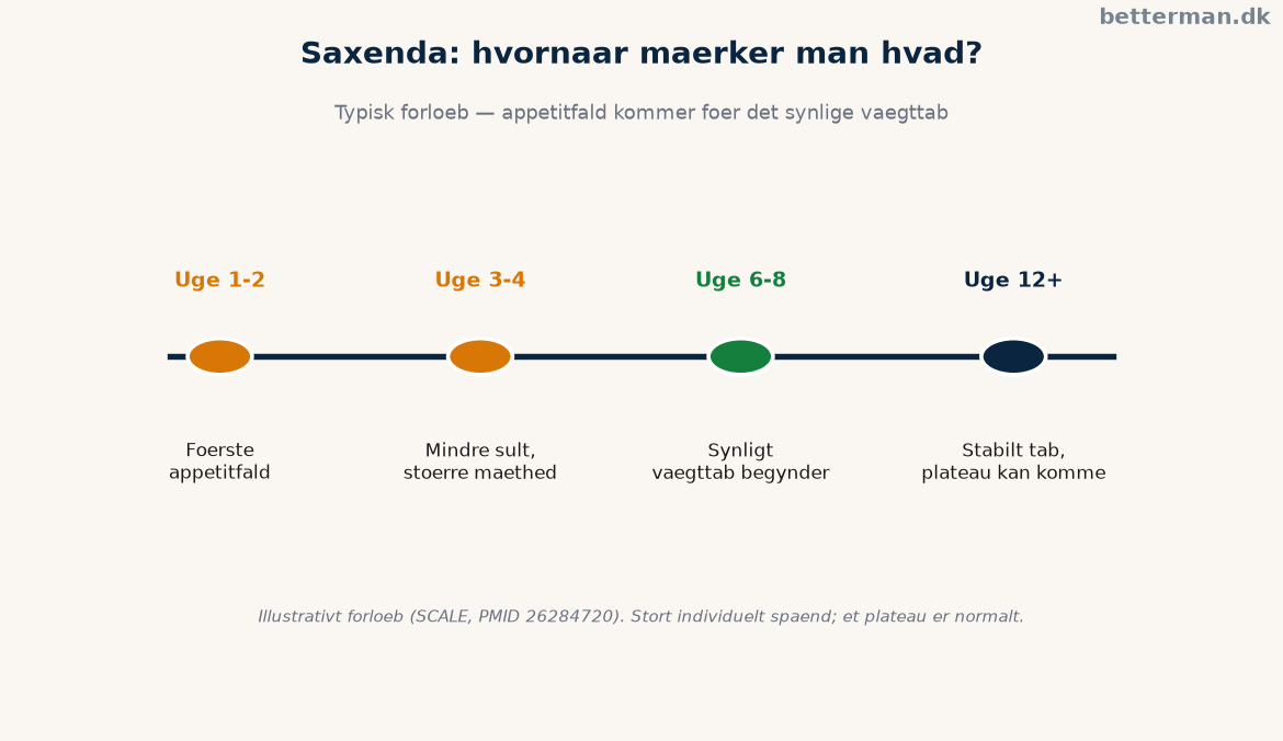 Tidslinje for hvornår typiske saxenda erfaringer rapporterer appetitfald mod synligt vaegttab