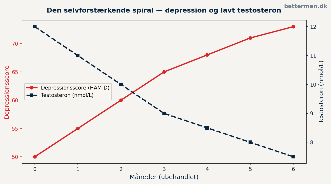 Sammenhæng mellem HPA-aksen, kortisol og testosteron — biokemien bag depression og lavt testosteron