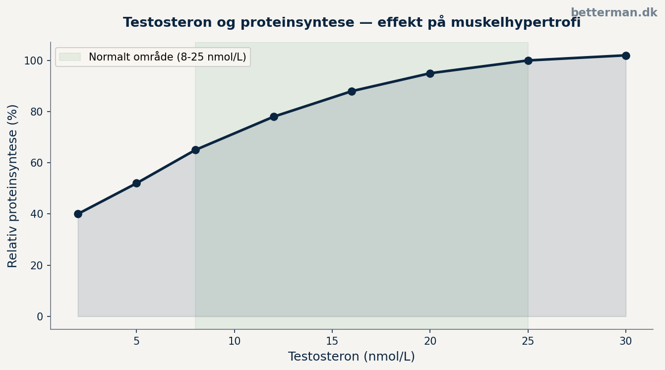 TRT muskler og proteinsyntese — testosteron effekt på muskelhypertrofi