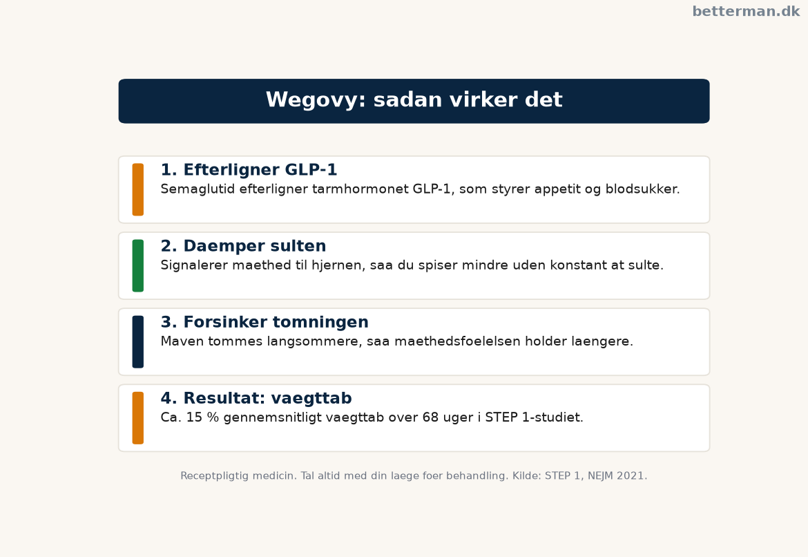 Wegovy infografik der viser hvordan semaglutid efterligner GLP-1 og dæmper appetitten
