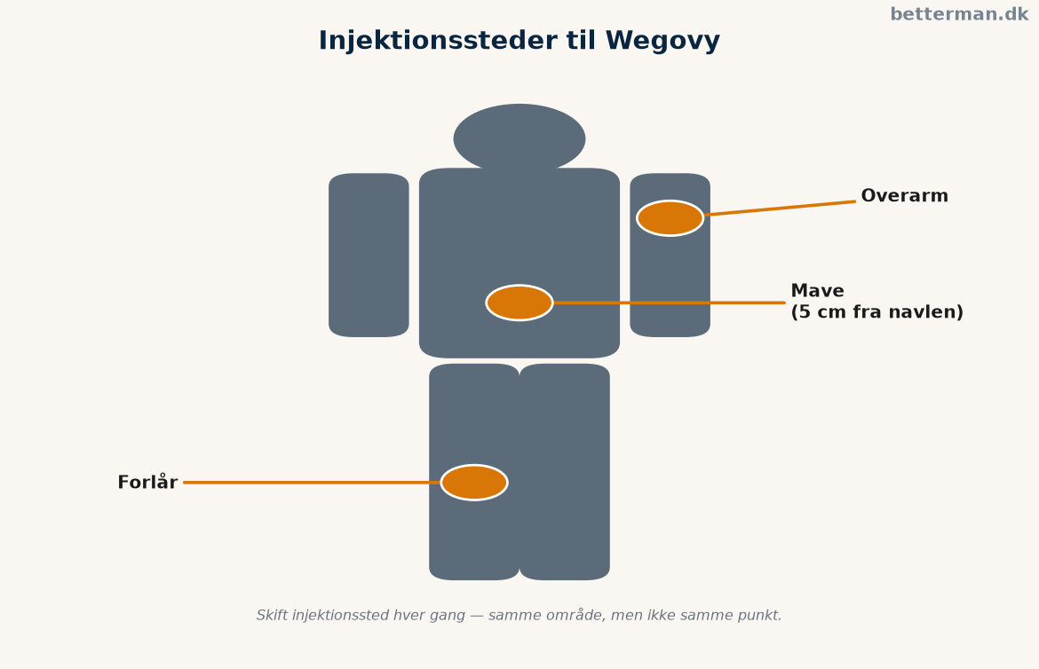 Wegovy injektion: sådan tager du det rigtigt (pen, teknik, opbevaring) 1 Illustration af injektionssteder på kroppen — mave, lår og overarm til en wegovy injektion