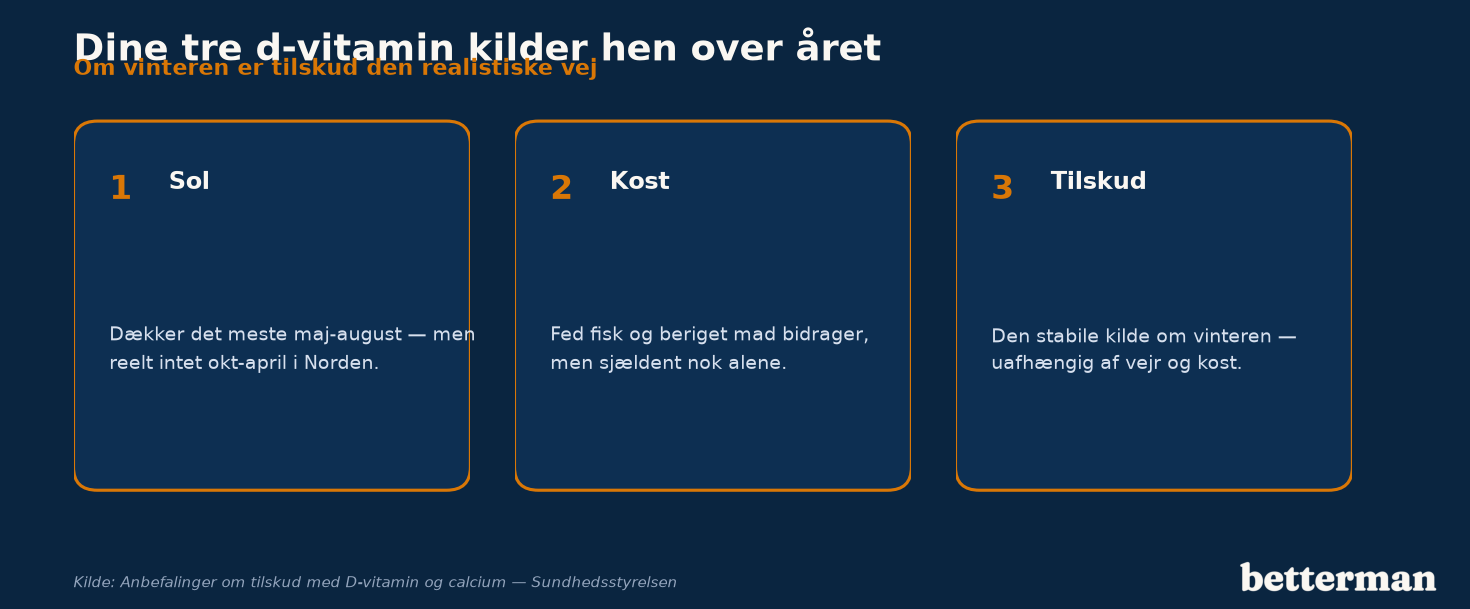 Dine tre d-vitamin kilder hen over året — sol, kost og tilskud i sommer og vinter