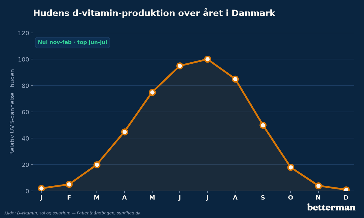 Hudens d-vitamin-produktion over året i Danmark — fra fuld dannelse om sommeren til nul om vinteren