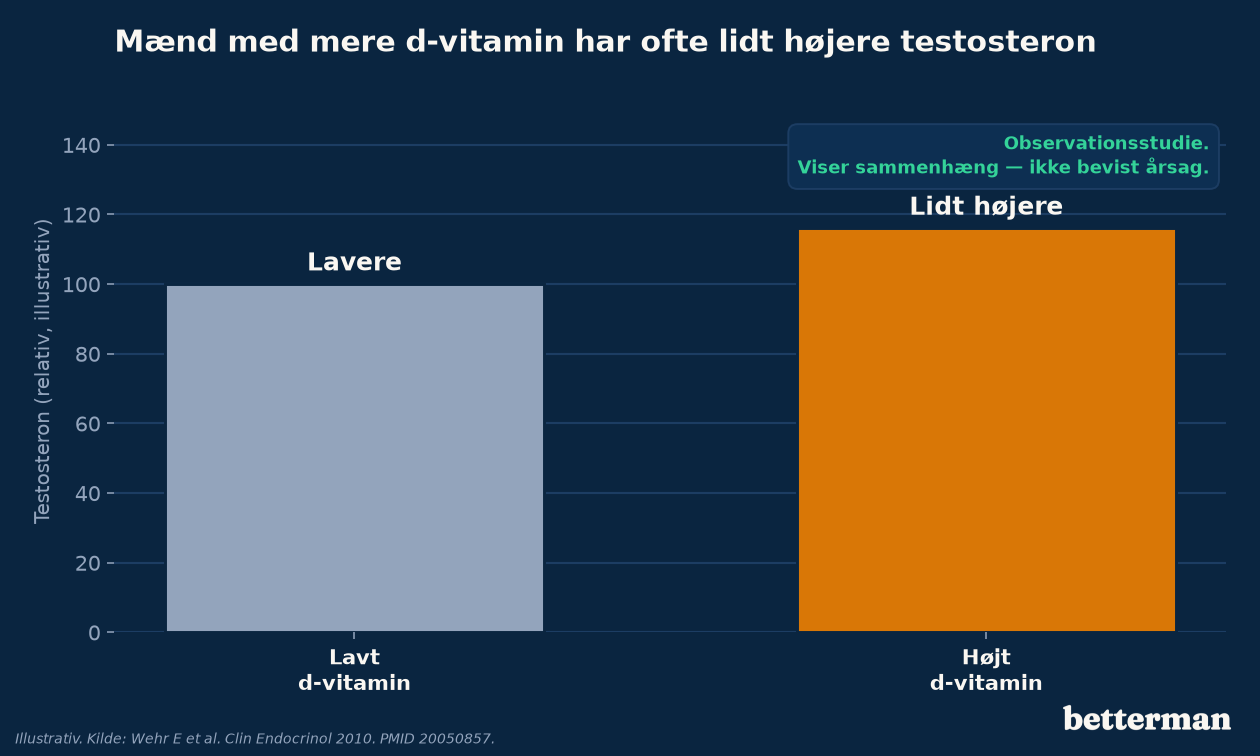 Mænd med højere d-vitamin har i gennemsnit lidt højere testosteron — en observeret sammenhæng, ikke bevist årsag