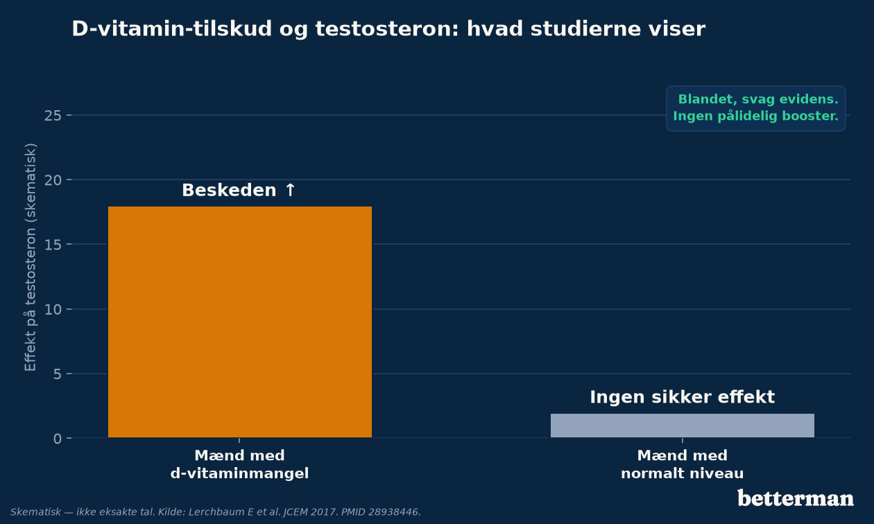 D-vitamin-tilskud og testosteron: hvad studierne faktisk viser hos forskellige mænd