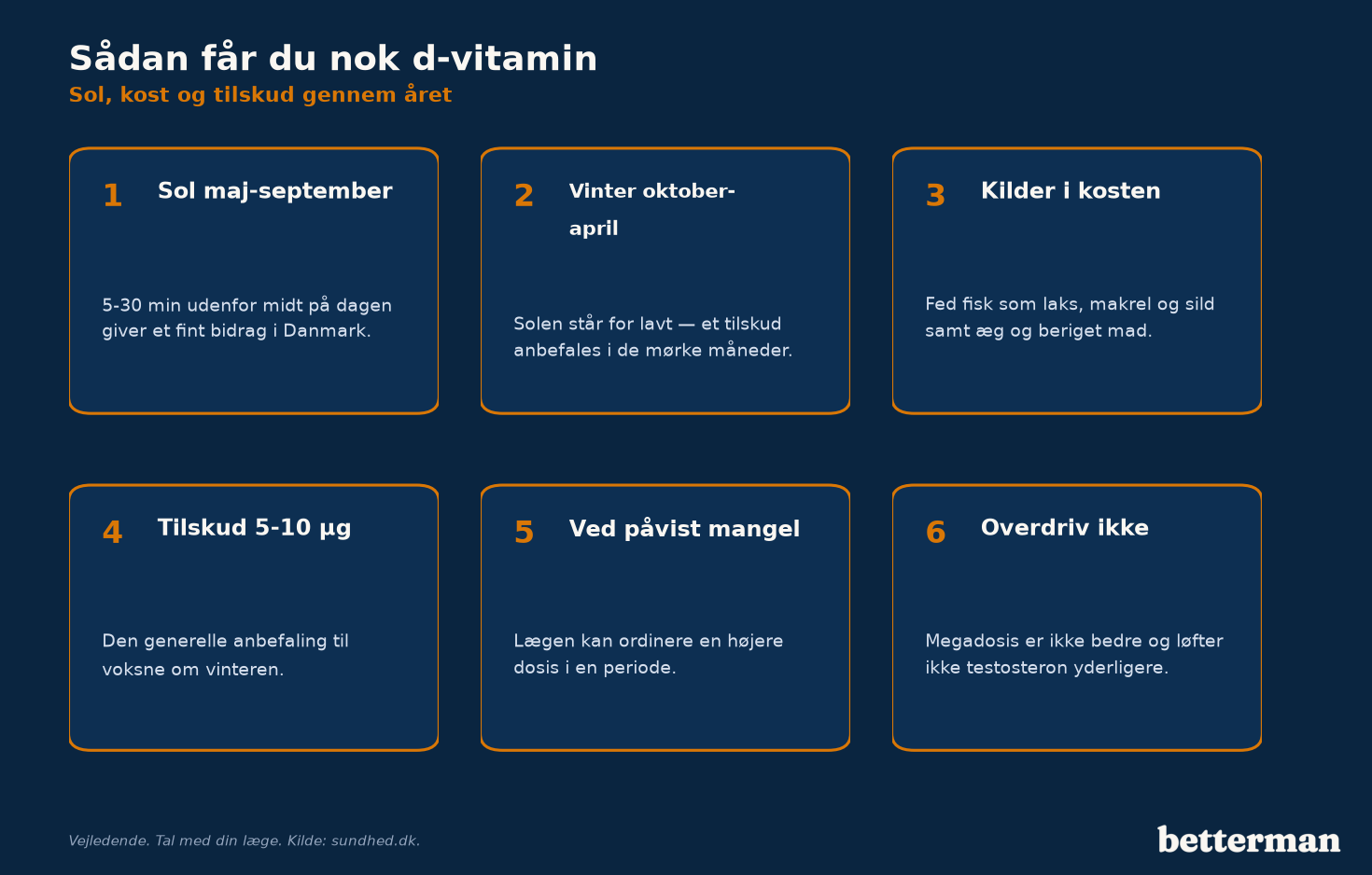 Sådan får du nok d-vitamin — sol, kost og tilskud gennem året