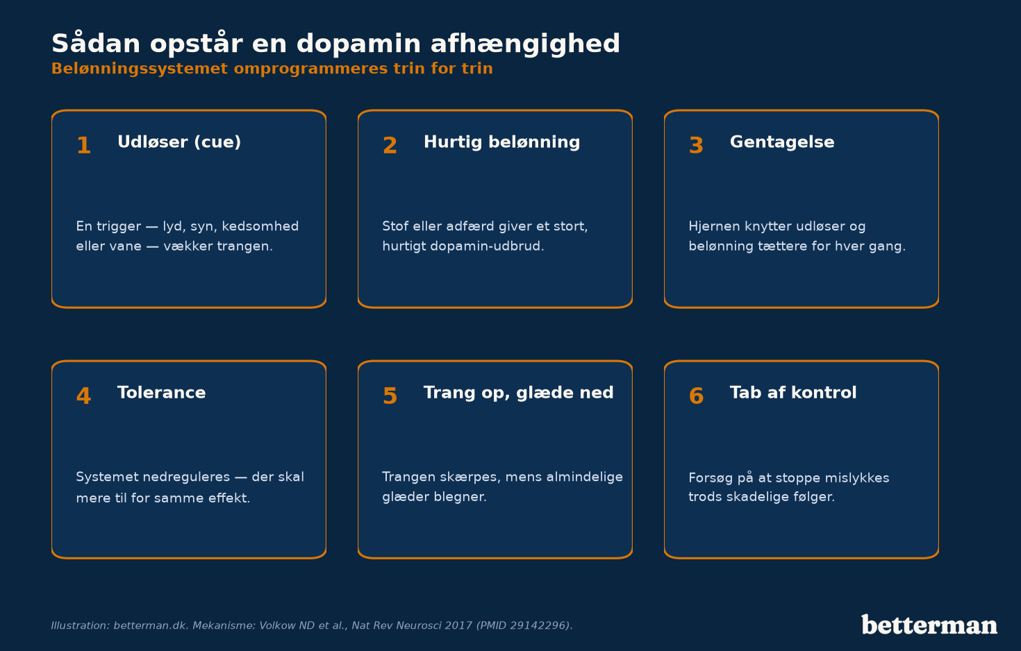 Sådan opstår en dopamin afhængighed: udløser, hurtig belønning, gentagelse, tilvænning og til sidst tab af kontrol