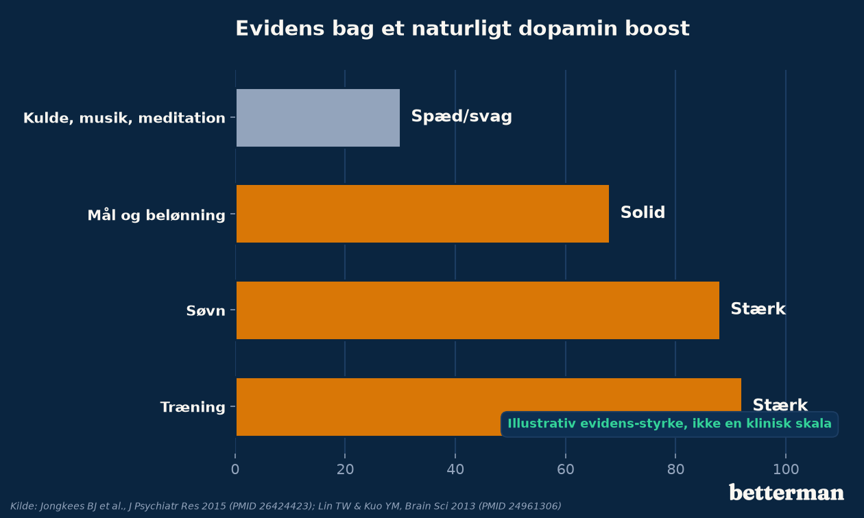 De vigtigste metoder til naturligt dopamin boost stillet op mod dokumentationen