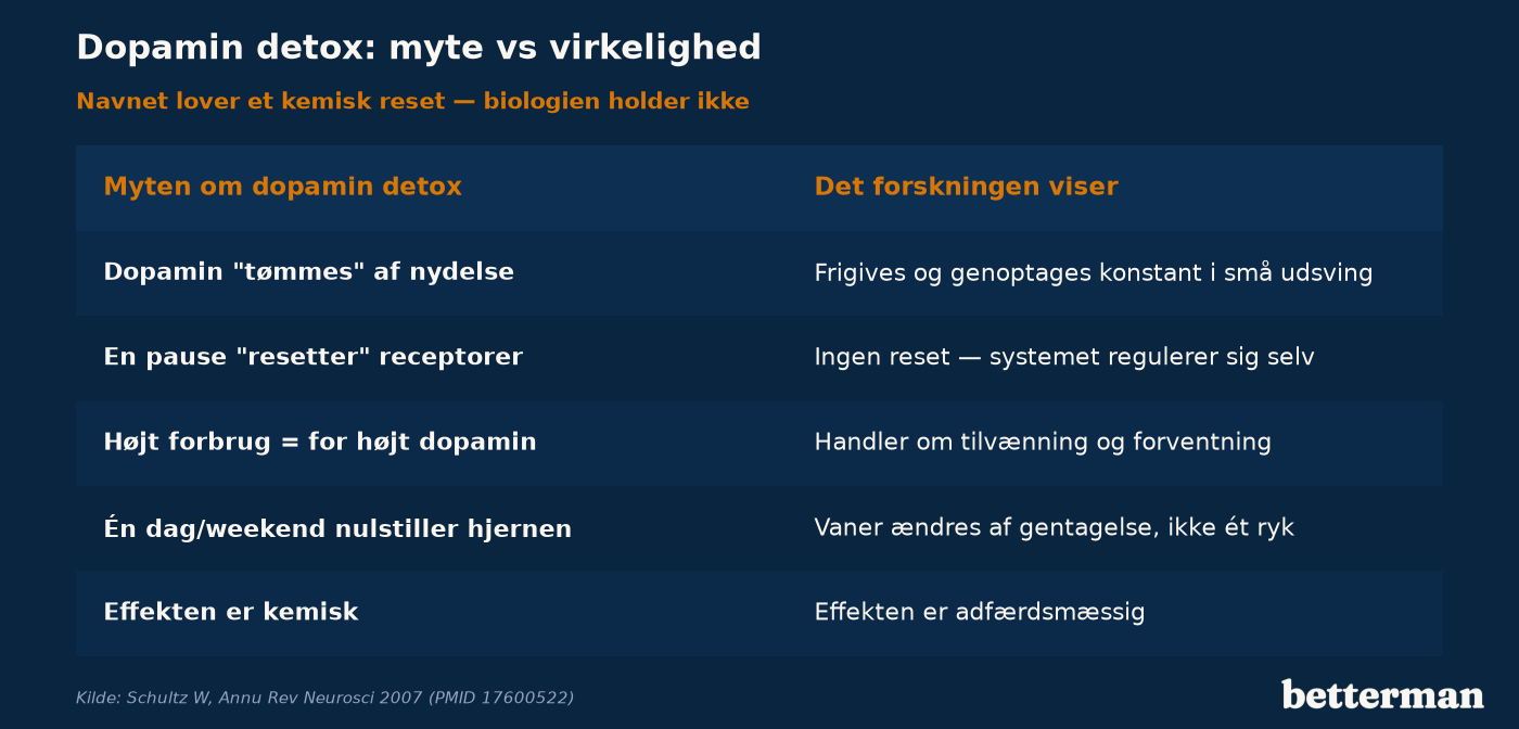 Myten om dopamin detox lover et kemisk reset, men dopamin er et hurtigt selvregulerende signalstof, ikke en tank der tømmes og fyldes