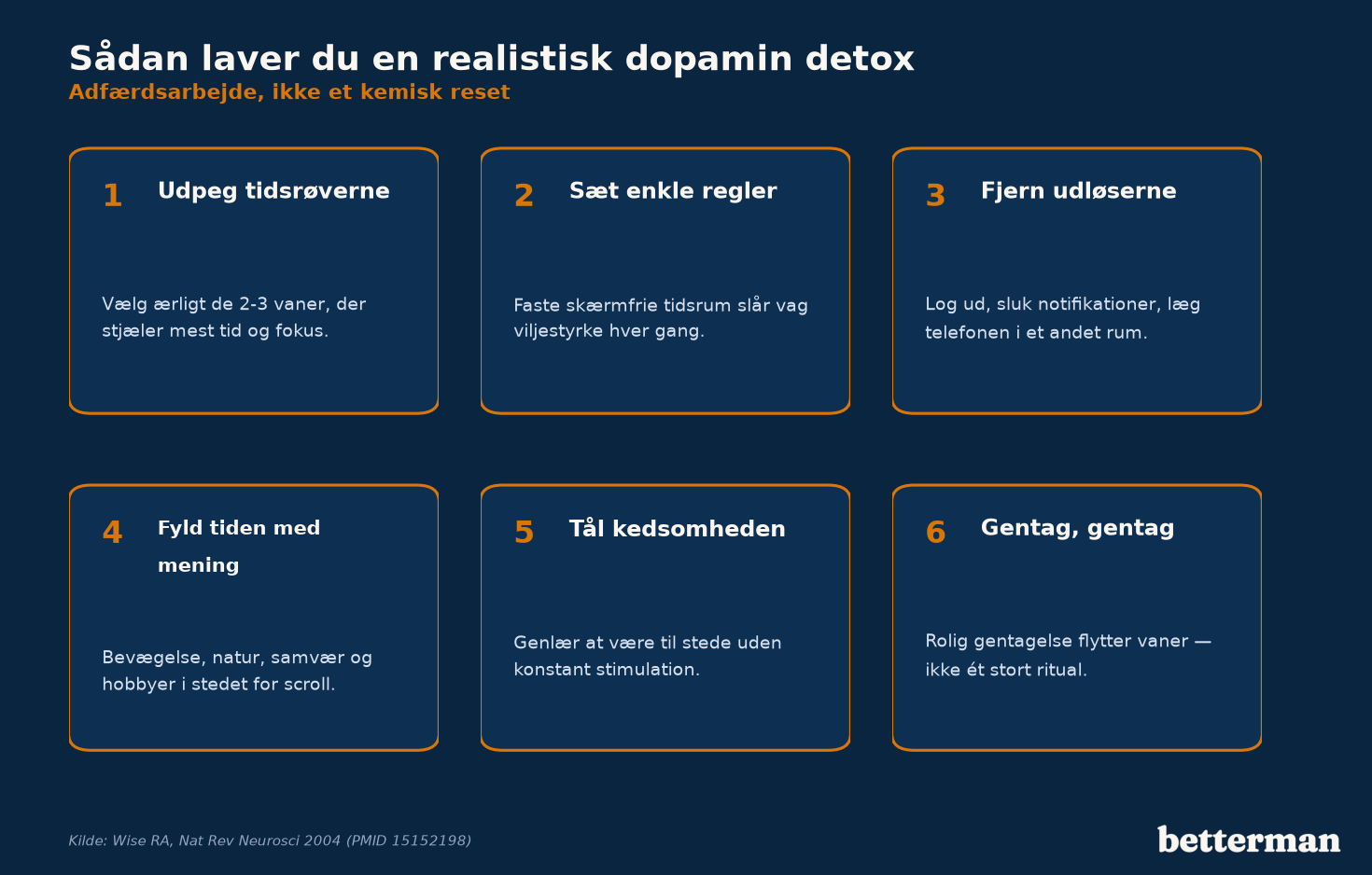 En realistisk dopamin detox handler om at fjerne udløsere for impulsive vaner og erstatte dem med langsommere, meningsfulde aktiviteter