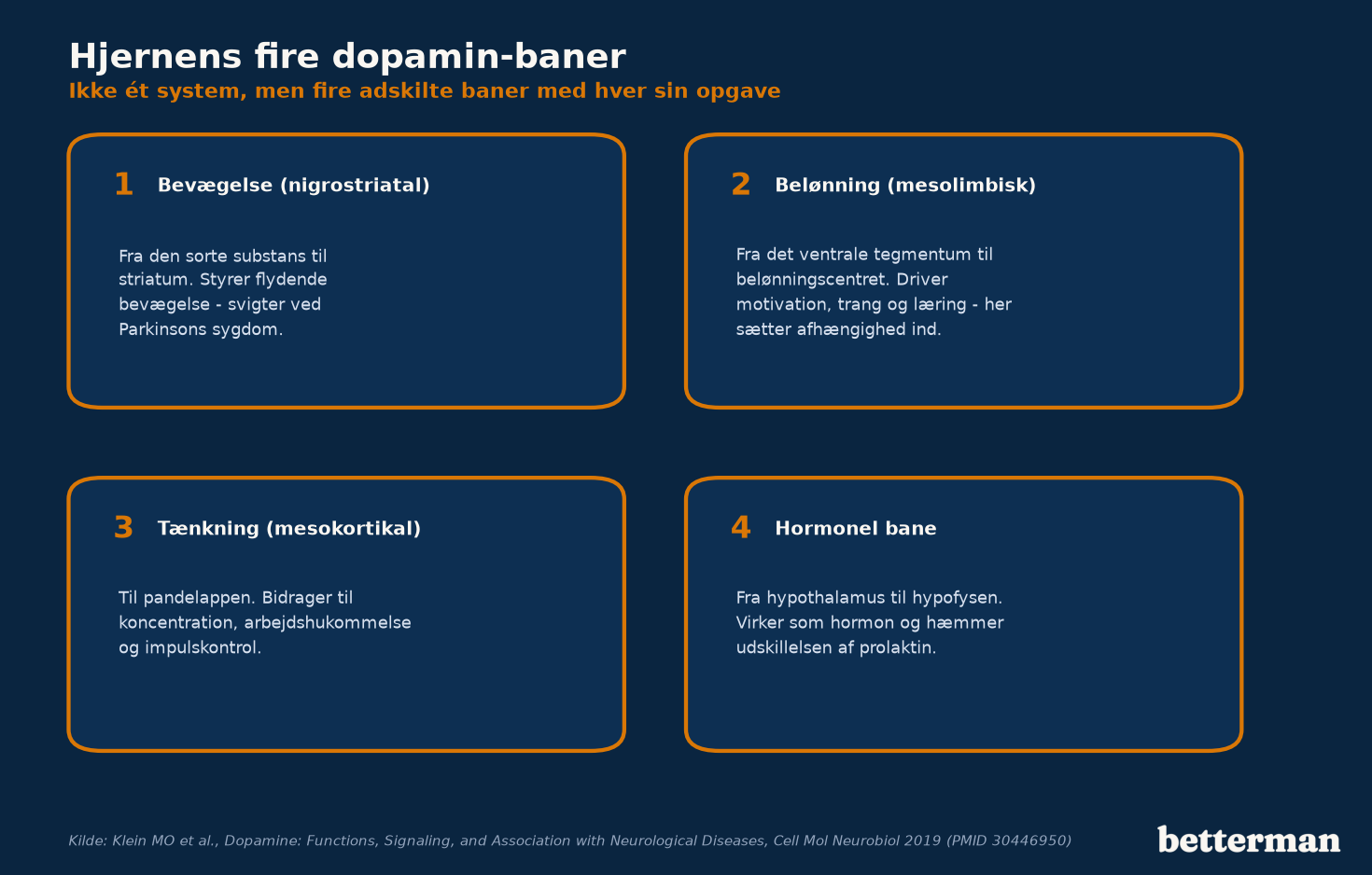Oversigt over hjernens fire dopamin-baner: bevægelse, belønning, tænkning og hormoner