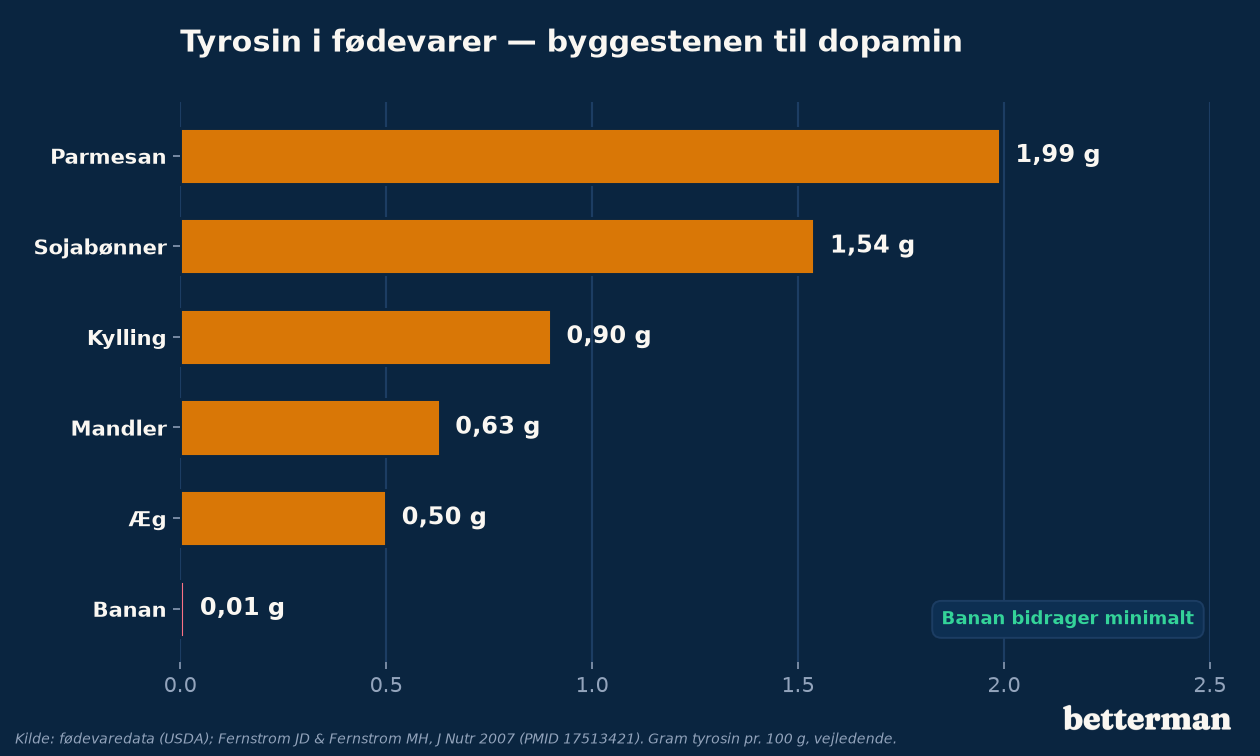 L-tyrosin, kroppens forstadie til dopamin, findes rigeligt i proteinrige fødevarer, mens bananer bidrager minimalt