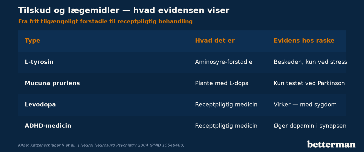 Overblik over hvad dopamin kosttilskud og dopaminerge lægemidler er, og hvad evidensen viser for hver type