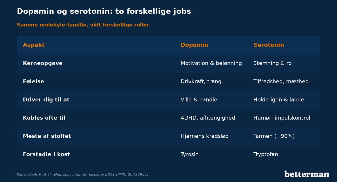 Sammenligning af dopamin og serotonin på funktion, følelse, typiske tilstande og hvad de driver