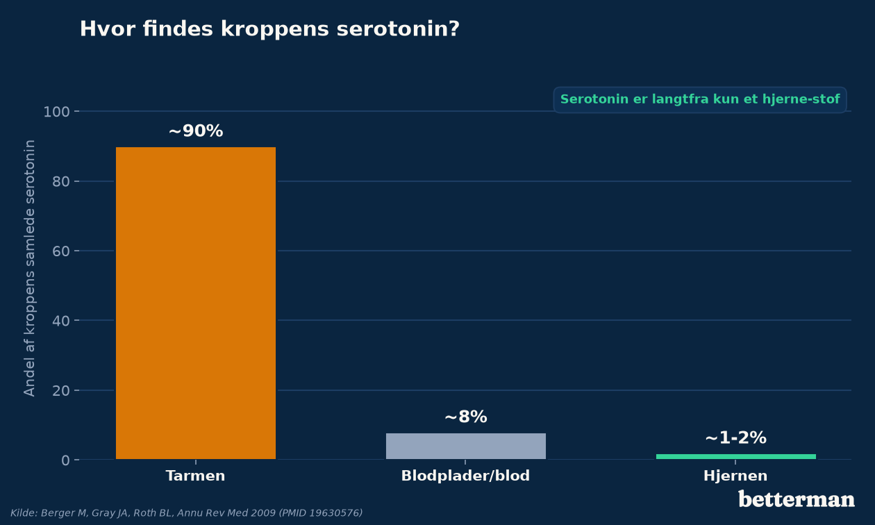 Cirka 90 procent af kroppens serotonin findes i tarmen, ikke i hjernen