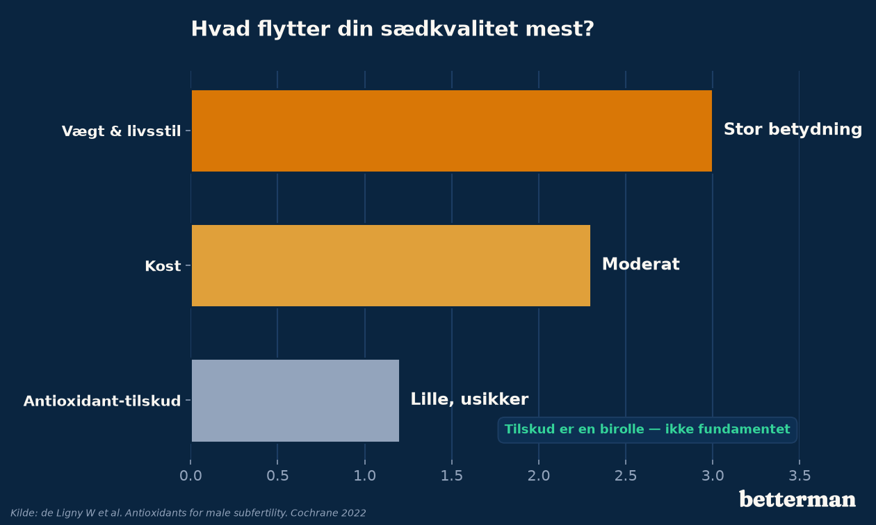 Antioxidant-tilskud og sædkvalitet — beskeden, usikker effekt sammenlignet med fundamentet