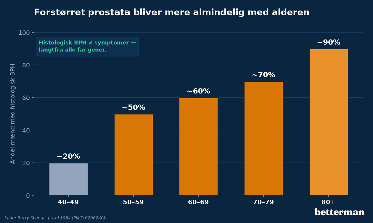 Forstørret prostata: symptomer, PSA og behandling der virker 1 Forstørret prostata (BPH) bliver mere almindeligt med alderen — andel af mænd fordelt på aldersgrupper