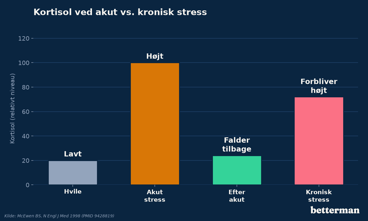Ved akut stress falder kortisol tilbage til hvile, mens det ved kronisk stress forbliver forhøjet over tid