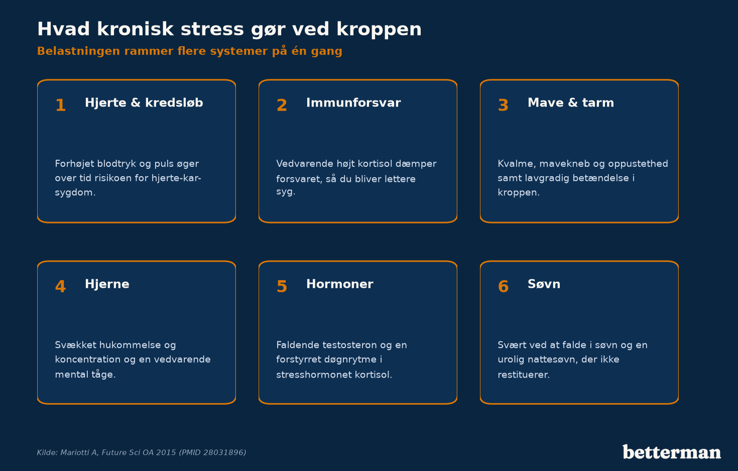 Kronisk stress belaster flere organsystemer samtidig — hjerte, immunforsvar, mave, hjerne og hormoner