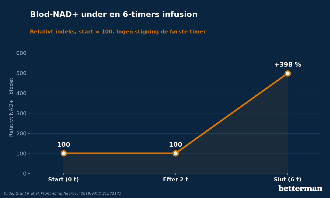 Blod-NAD+ stiger stort set ikke i de første timer af en intravenøs infusion og først tydeligt ved infusionens slutning, vist som relativt indeks