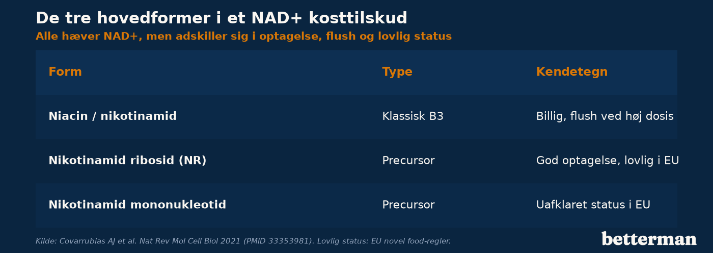 Sammenligning af de tre hovedformer i et NAD+ kosttilskud: niacin, nikotinamid ribosid og nikotinamid mononukleotid
